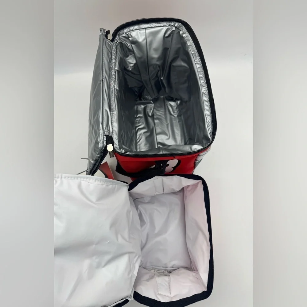 NASCAR Dale Earnhardt Jr. Racing Cooler Lunch Bags box carrying straps bundle